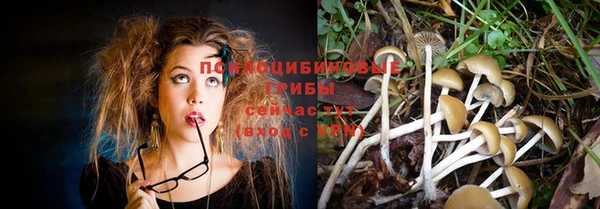 мет Рославль