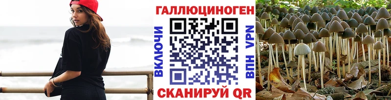 Галлюциногенные грибы Psilocybine cubensis  Чаплыгин 